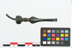 Foto von Bronzenadelspitzenschoner (NHMW-PRAE-026054)